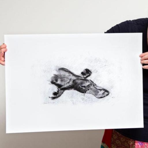 Canberra Platypus Limited-Edition Fine Art Print (Signed & Numbered)