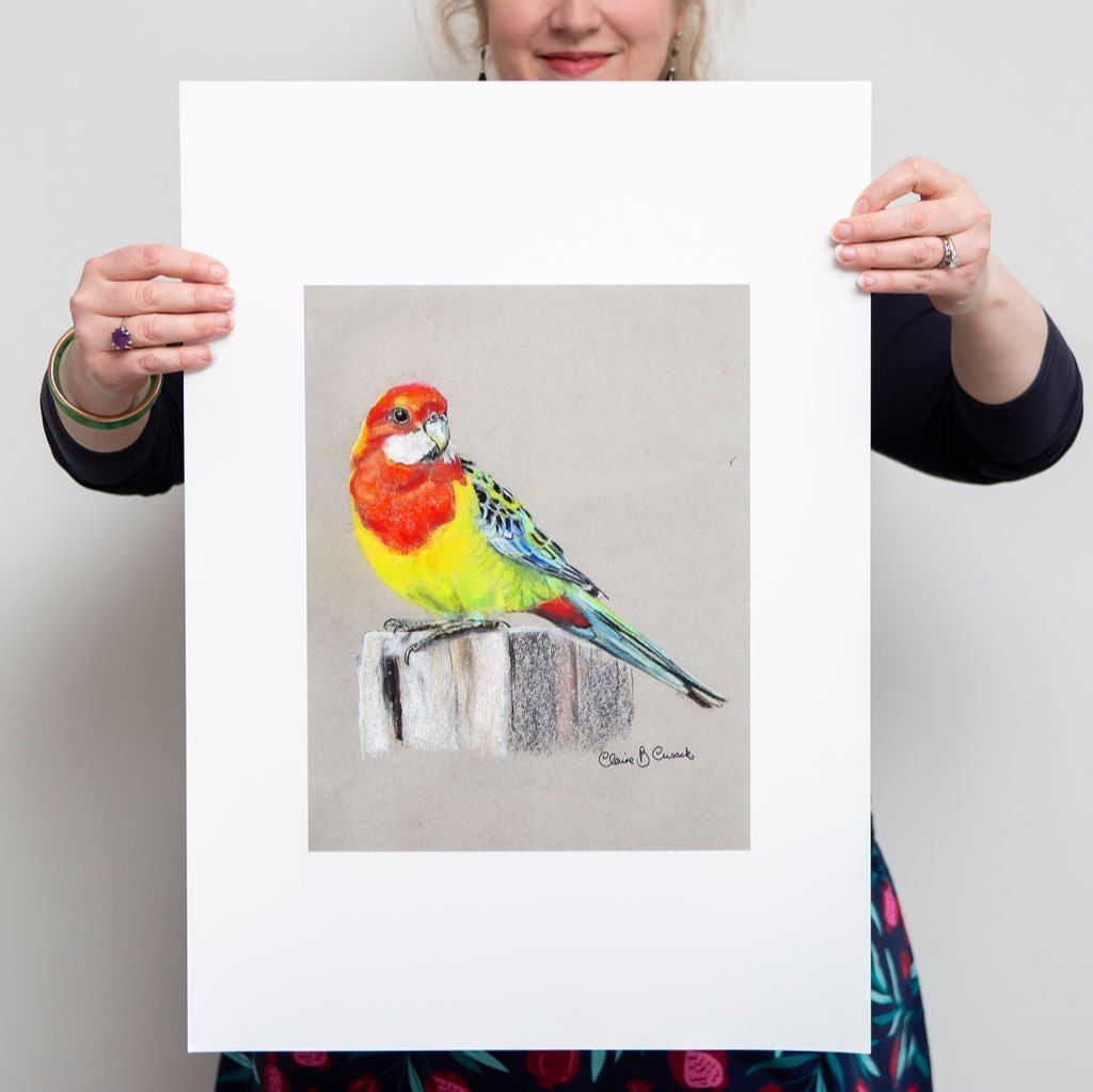 Eastern Rosella Limited-Edition Fine Art Print (Signed & Numbered)