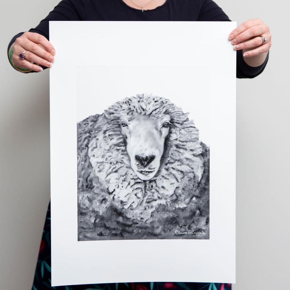 Sparky the half Merino Sheep Limited-Edition Fine Art Print (Signed & Numbered)