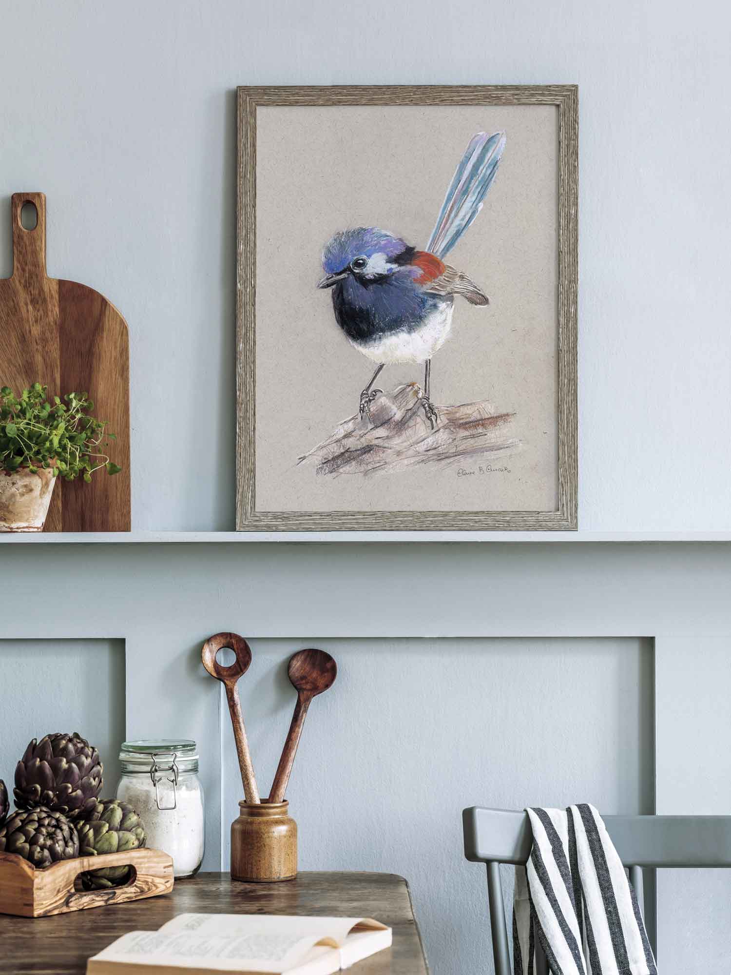 Blue Breasted Fairy-wren – Australian wildlife gift