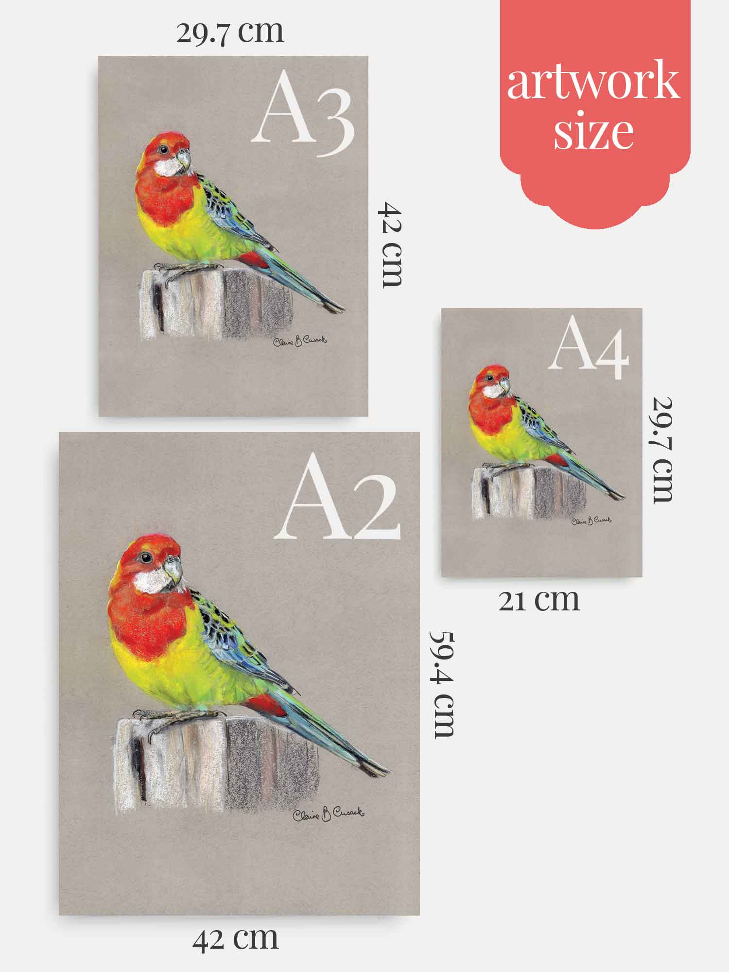 Eastern Rosella – Australian Parrot Artwork