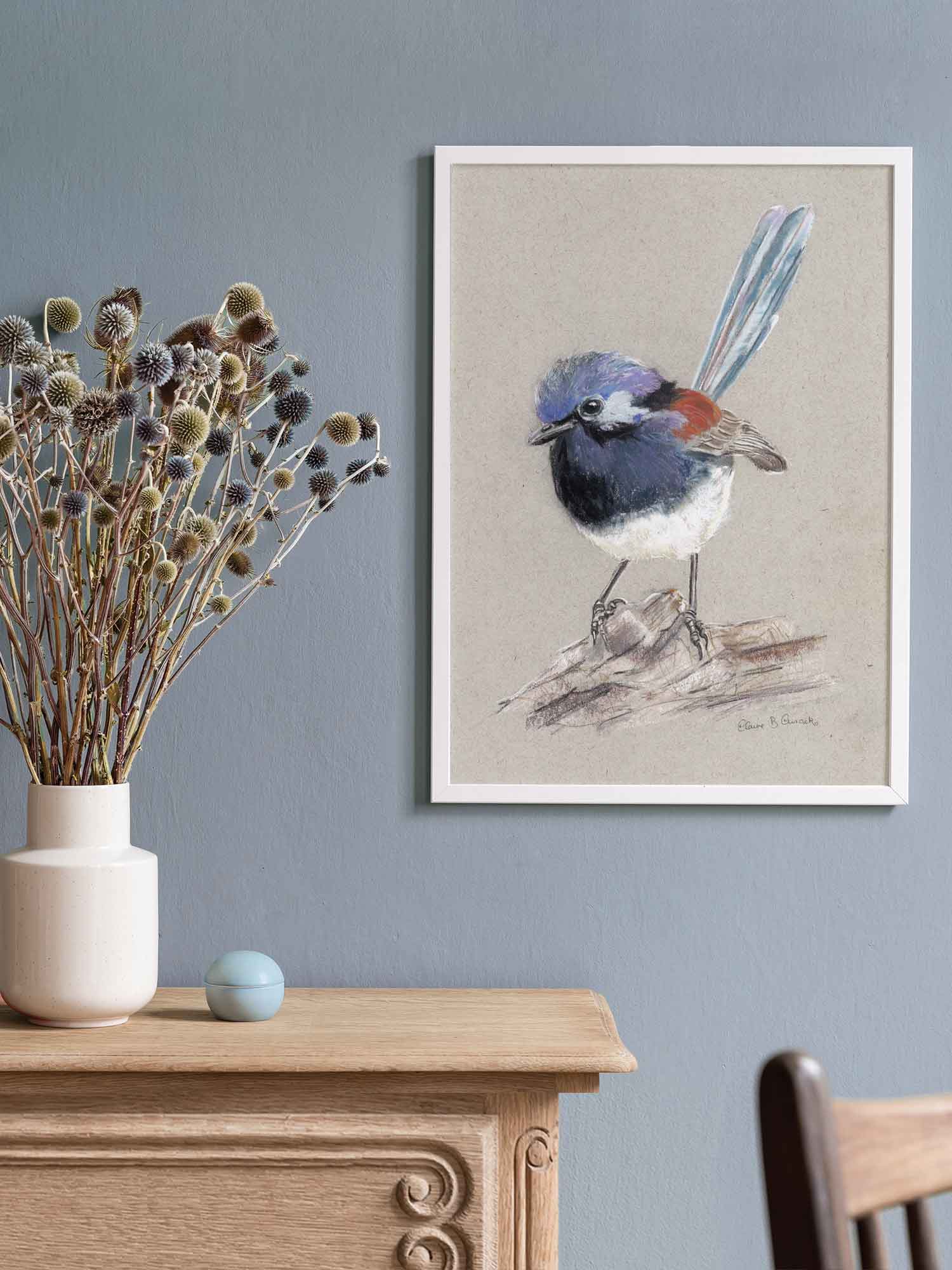 Blue Breasted Fairy-wren – Australian wildlife gift