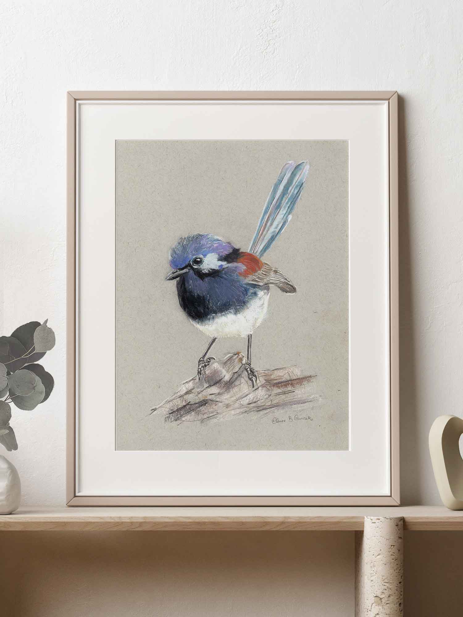 Blue Breasted Fairy-wren – Australian wildlife gift