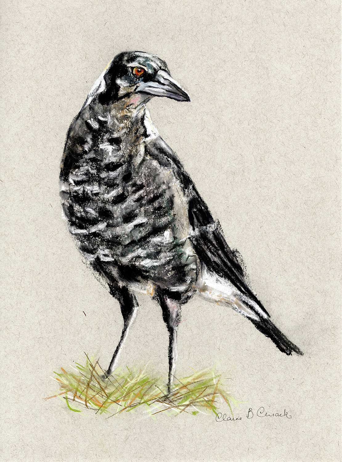 Baby Magpie Limited-Edition Fine Art Print (Signed & Numbered)