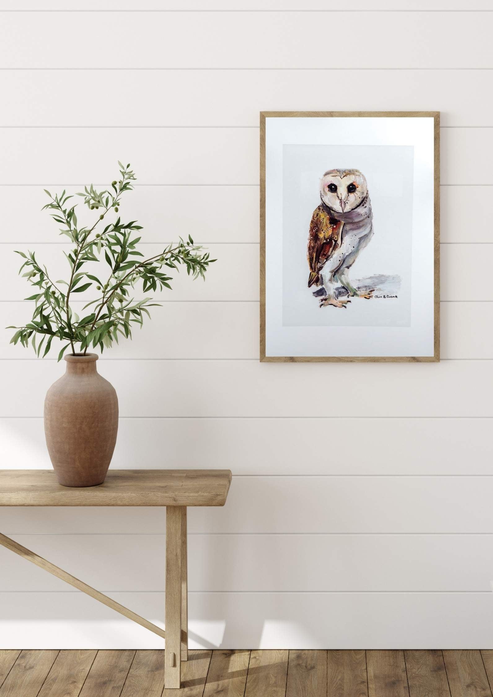 Australian Barn Owl Limited-Edition Fine Art Print (Signed & Numbered)