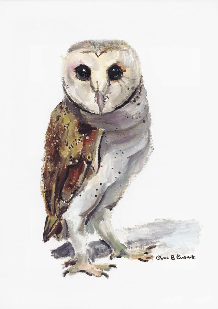 Australian Barn Owl Limited-Edition Fine Art Print (Signed & Numbered)