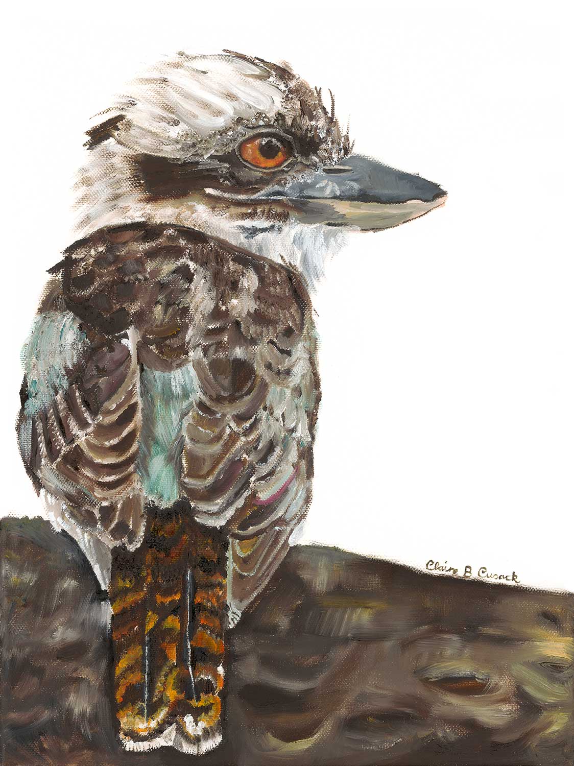 Kookaburra Limited-Edition Fine Art Print (Signed & Numbered)