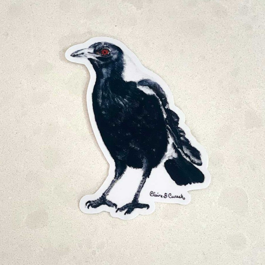 Australian Magpie Sticker