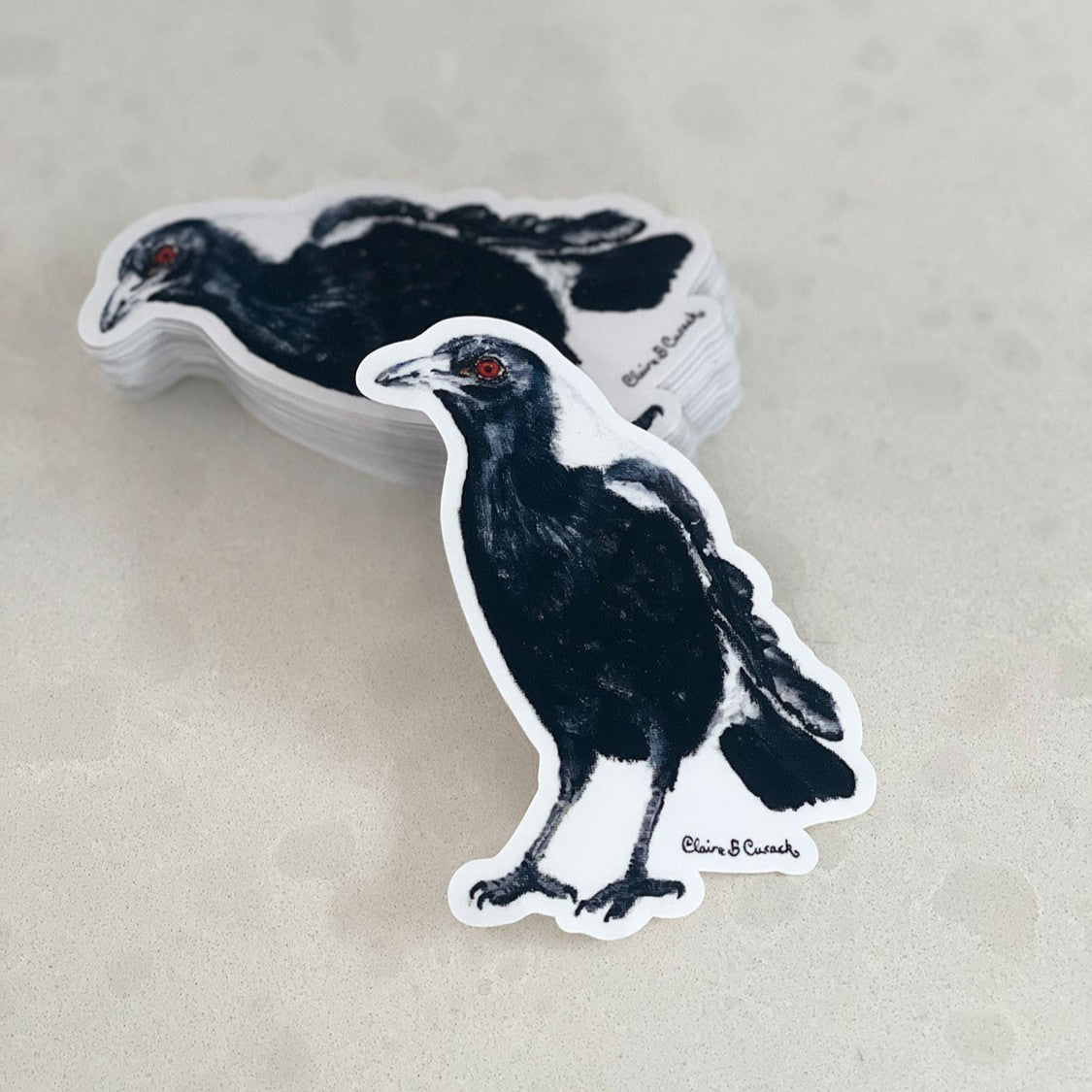 Australian Magpie Sticker