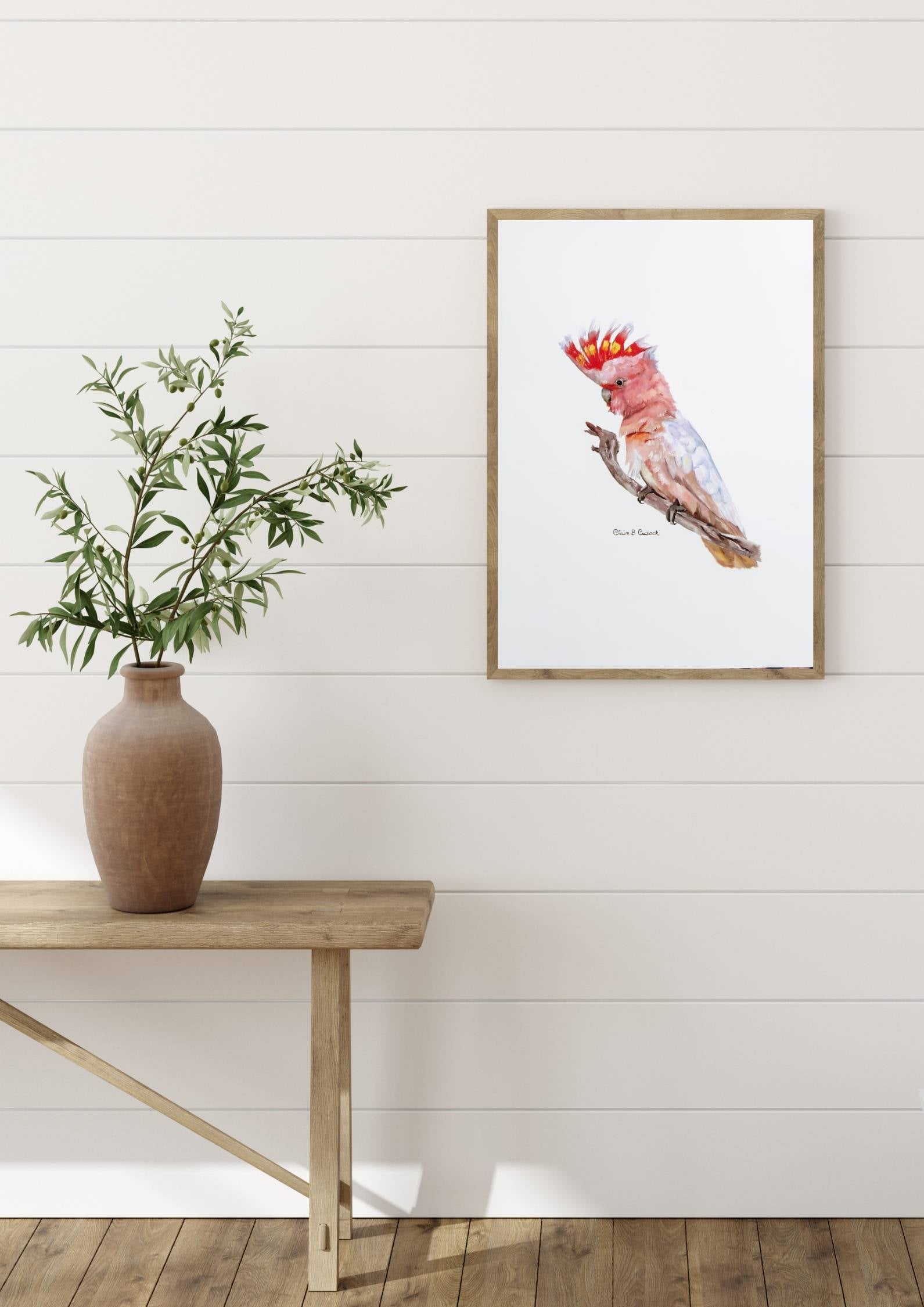 family room with framed example of australian pink cockatoo on branch