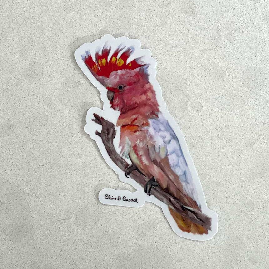 Australian Pink Cockatoo Sticker