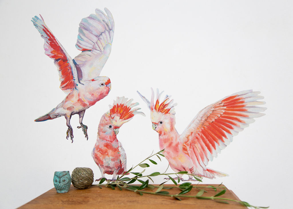 Australian Pink Cockatoo Wall Stickers