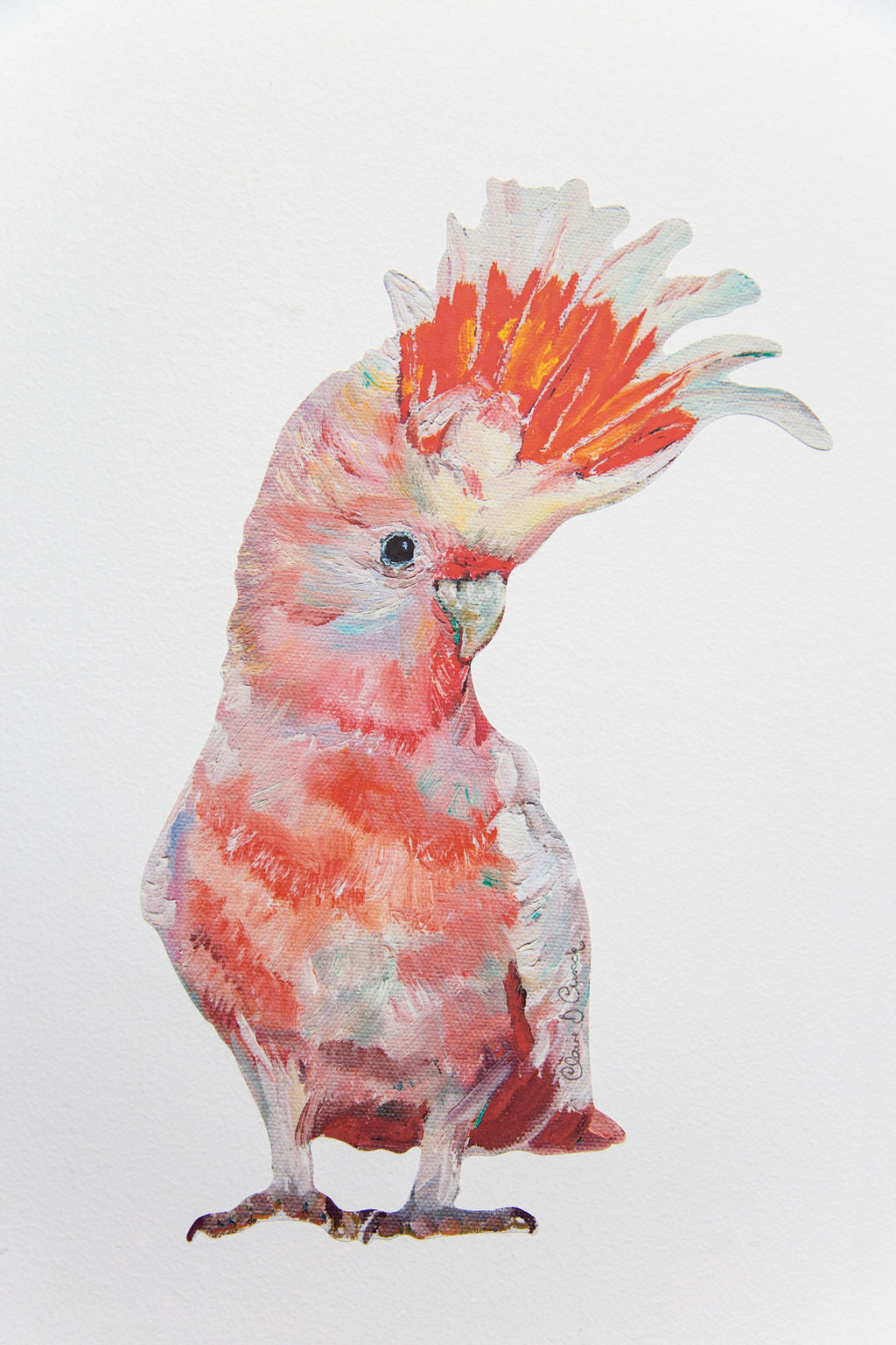 Australian Pink Cockatoo Wall Stickers