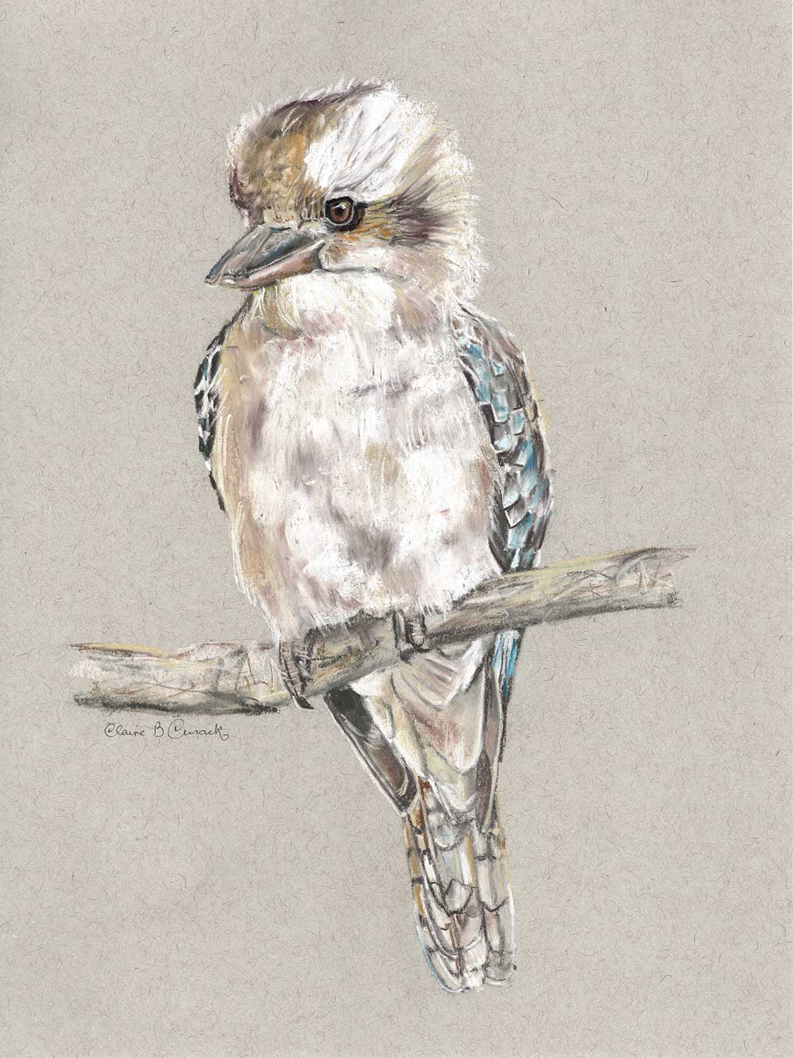 Baby Kookaburra Limited-Edition Fine Art Print (Signed & Numbered)