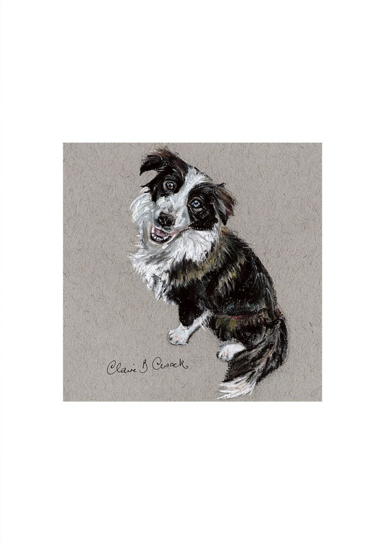 Border Collie Miniature Print