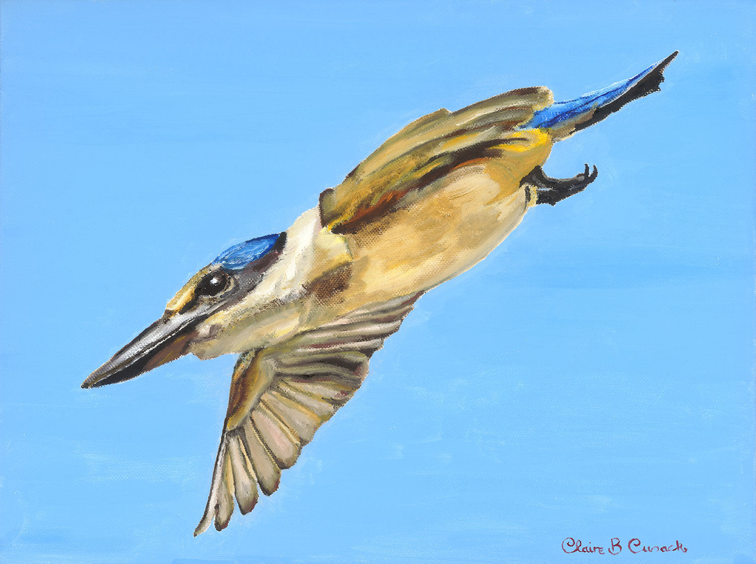 Flying Kingfisher Limited-Edition Fine Art Print (Signed & Numbered)