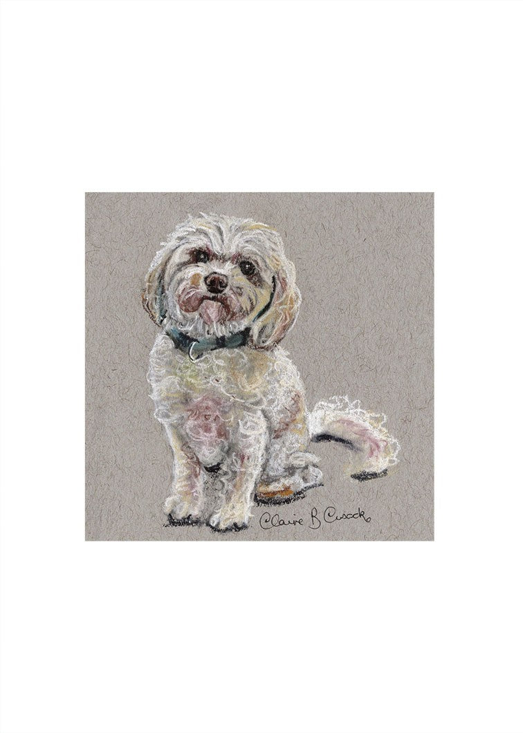 Muffin the Toy Cavoodle Miniature Print