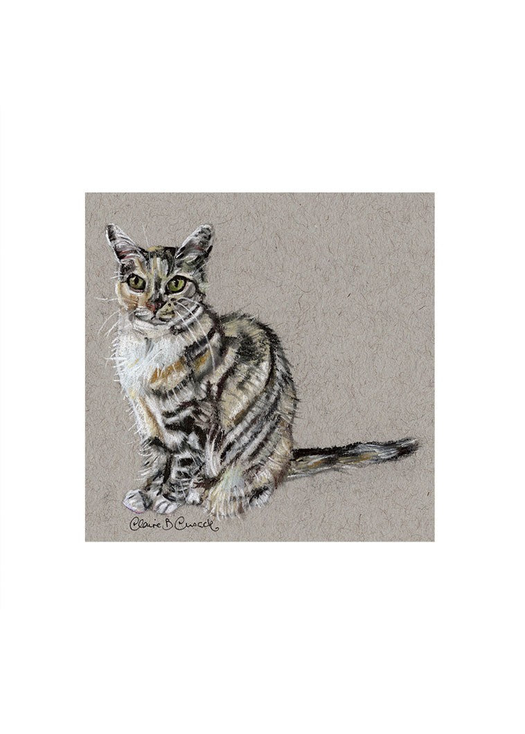 Tortoise Shell Cat Miniature Print