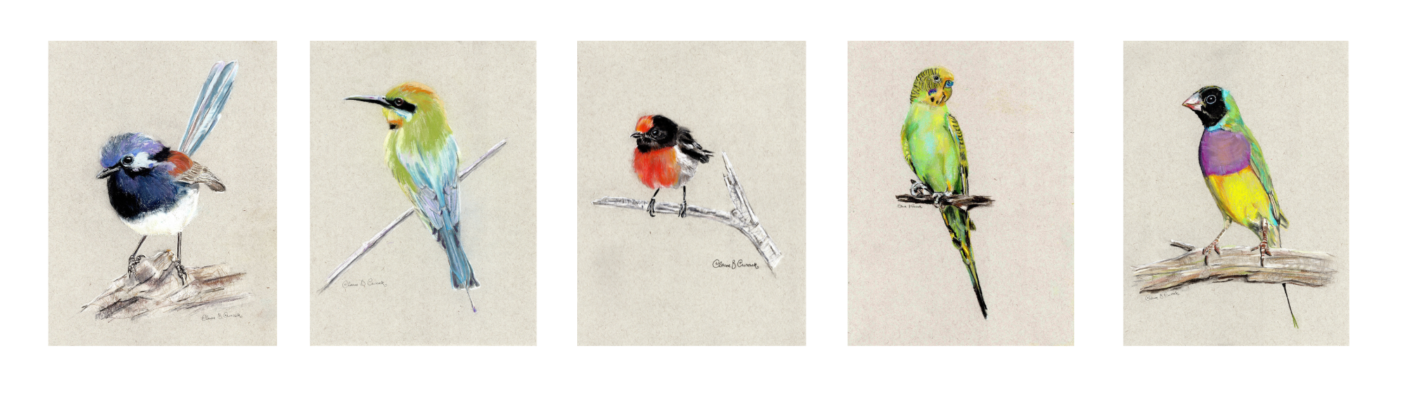 Australian birds artwork