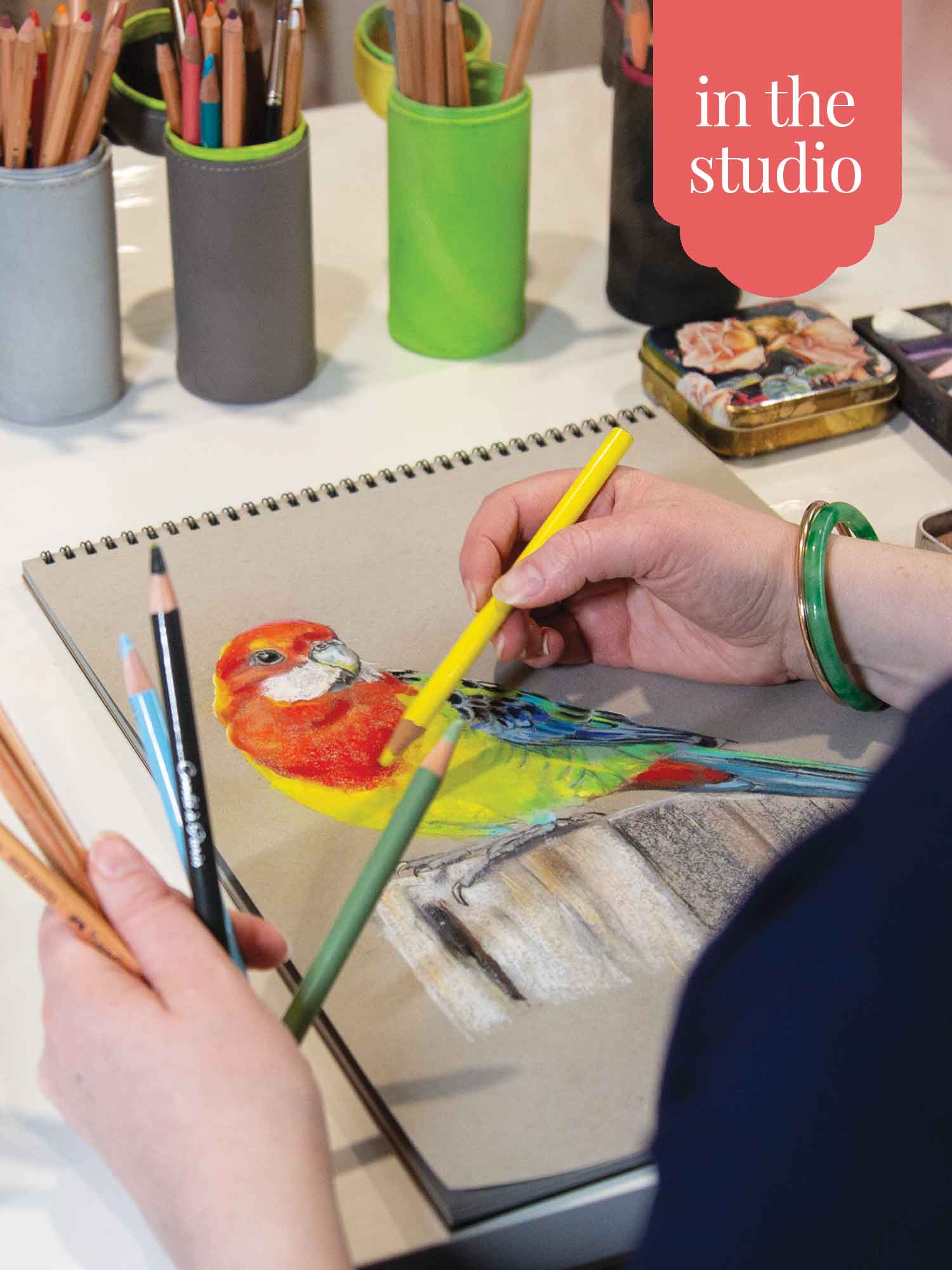 Eastern Rosella – Australian Parrot Artwork