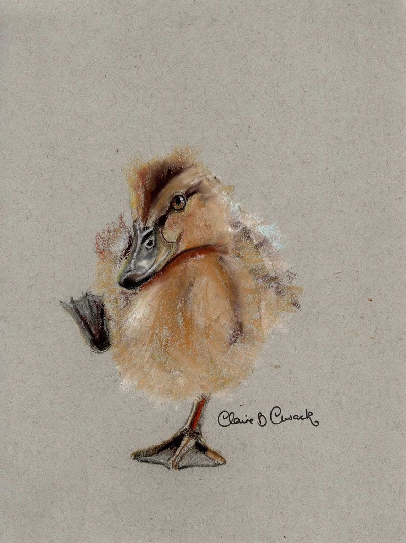 Duckling Limited-Edition Fine Art Print (Signed & Numbered)