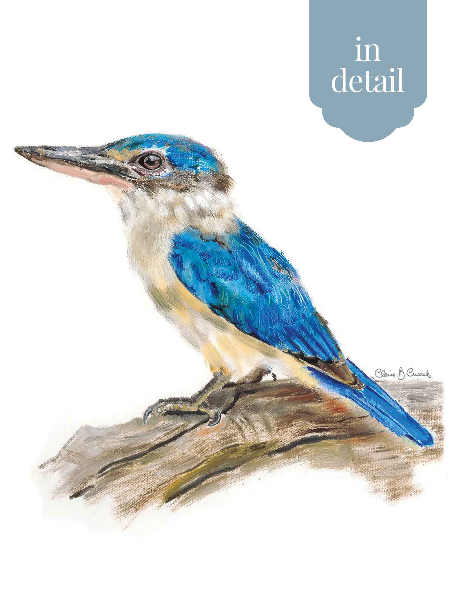 Blue Australian Kingfisher –Aussie gift idea