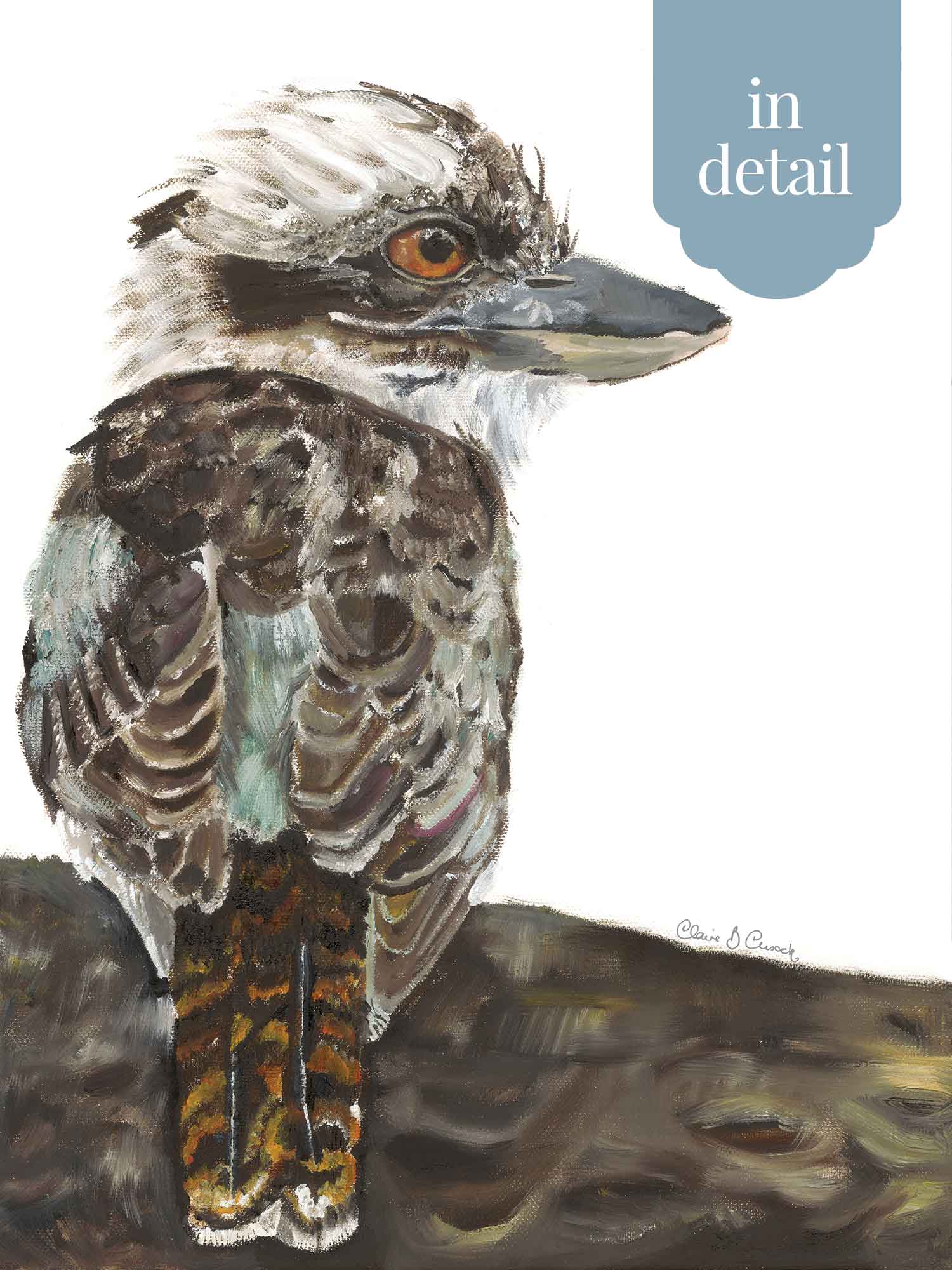 Kookaburra – Australian Wall Art