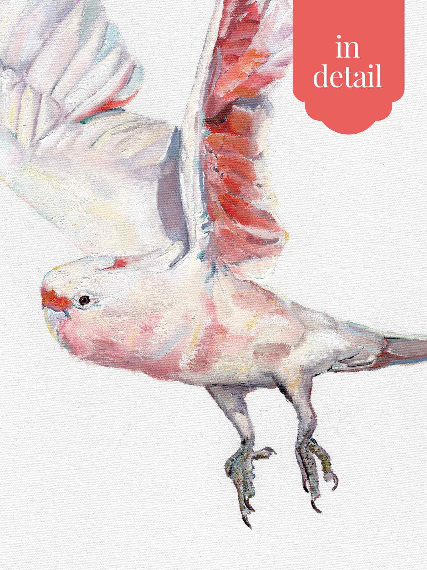 Australian Pink Cockatoo Wall Stickers