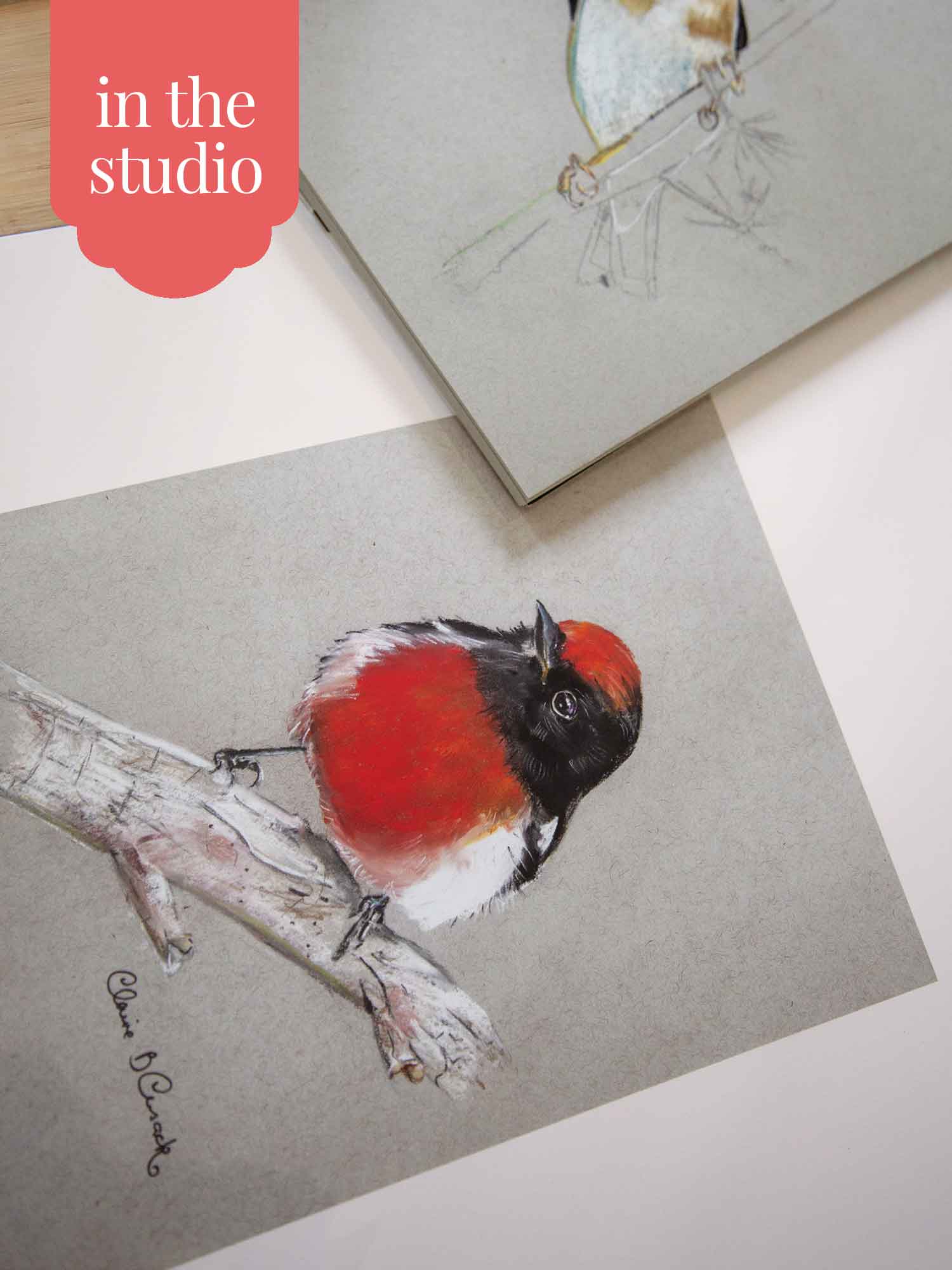 Red Capped Robin Artwork Print