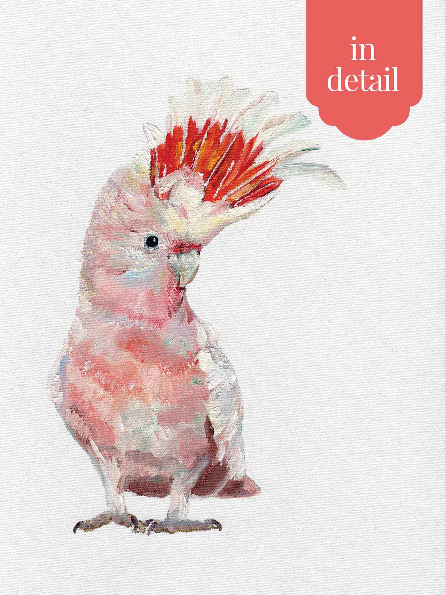 Australian Pink Cockatoo Wall Stickers