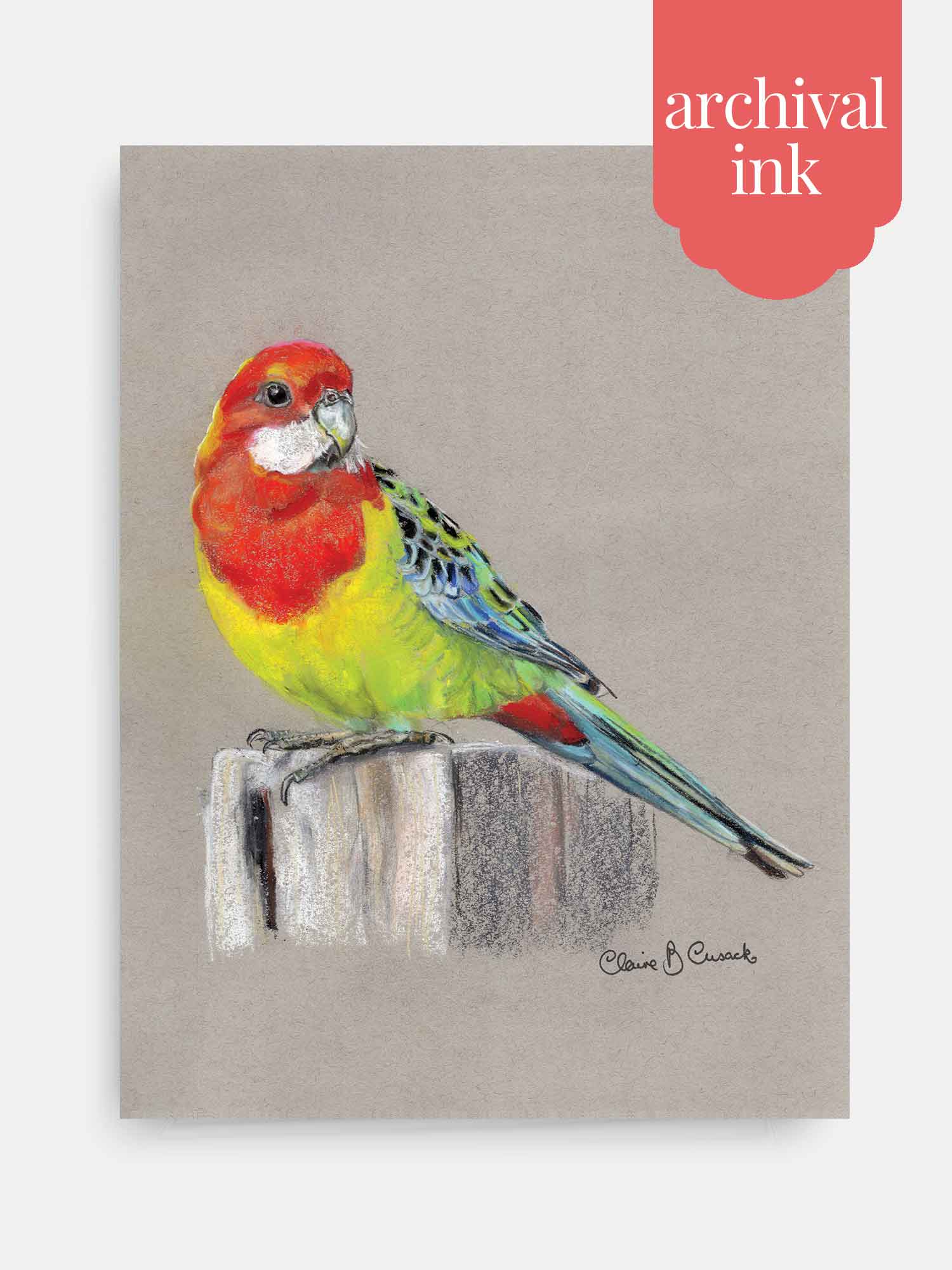 Eastern Rosella – Australian Parrot Artwork