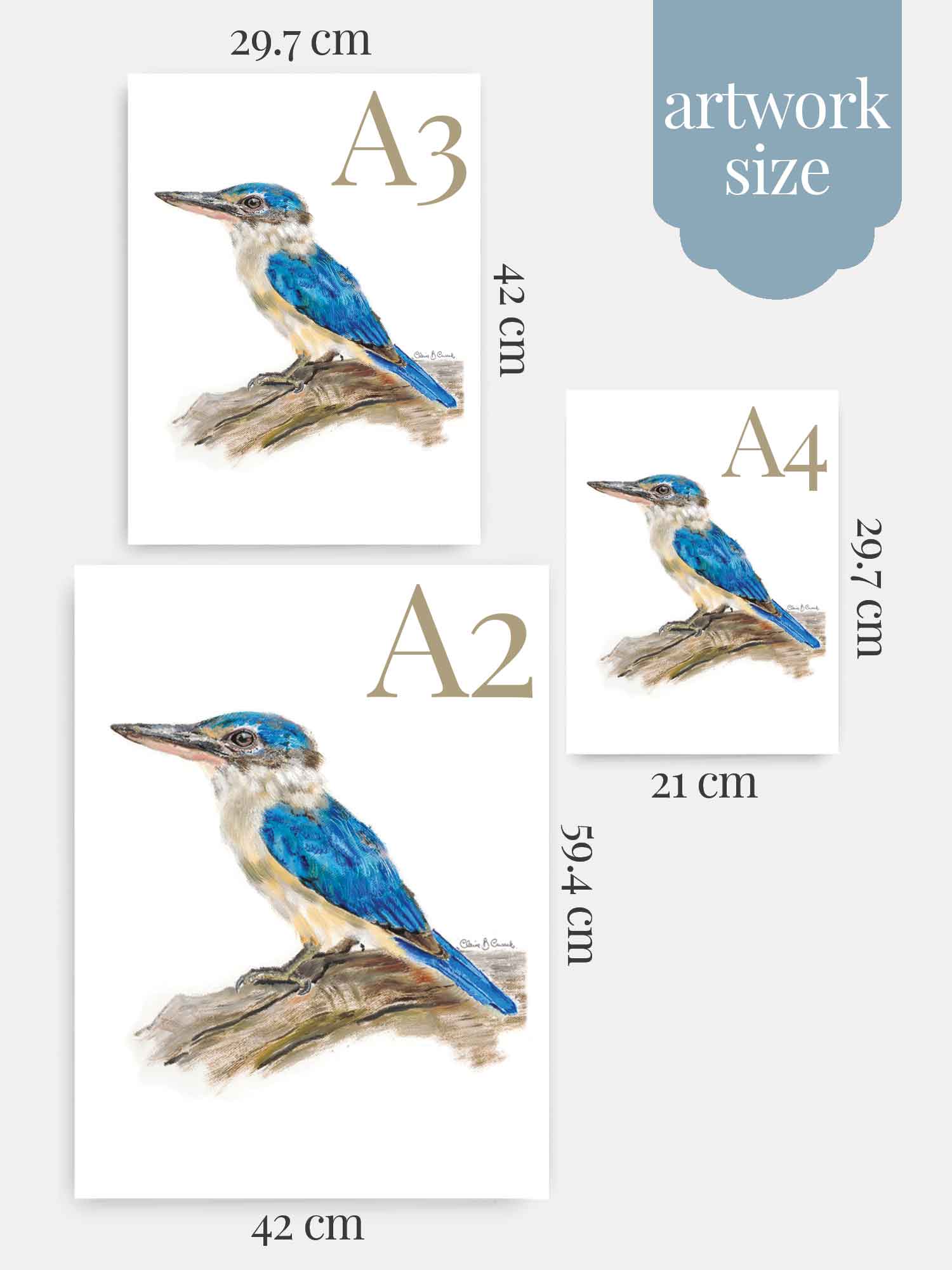 Blue Australian Kingfisher –Aussie gift idea